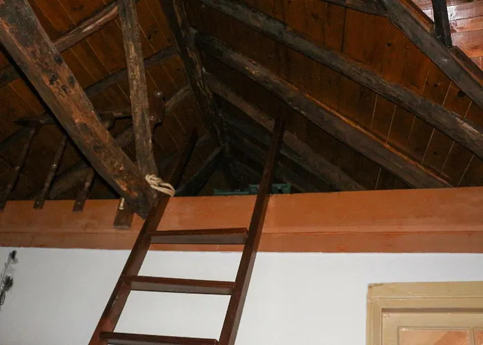 Casa Da Tia Augusta Castro Daire